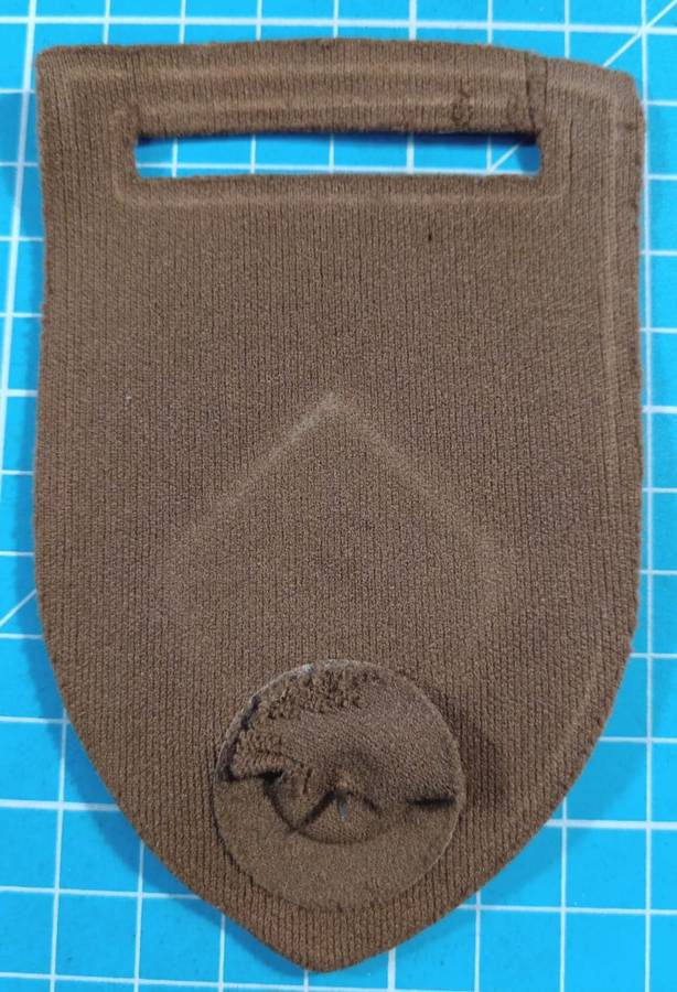 SADF - Infantry Tupper Flash