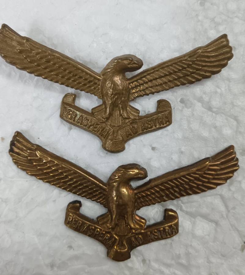 SADF - Air Force Collars