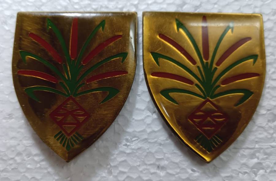 SADF - SWA 202 Battalion Shoulder Flash Pair