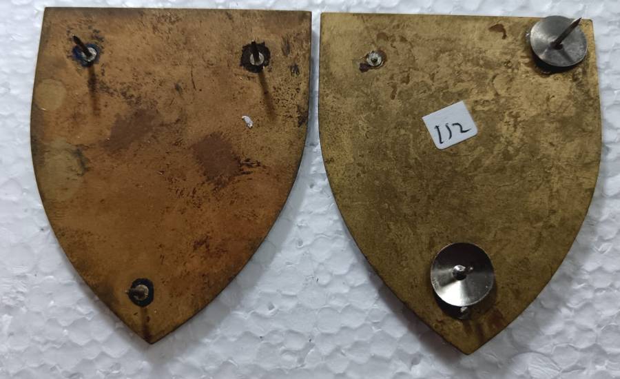 SADF - SWA 202 Battalion Shoulder Flash Pair
