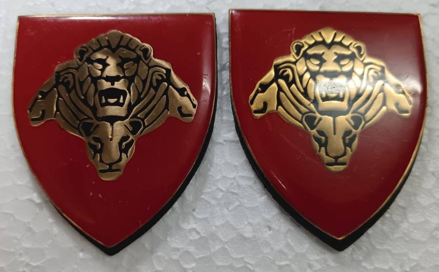 SANDF - Pride of the Nation Shoulder Flash Pair