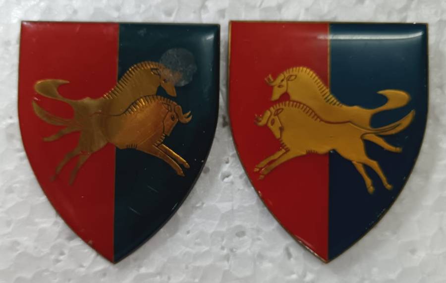 SADF - Natal Command Workshop Shoulder Flash Pair