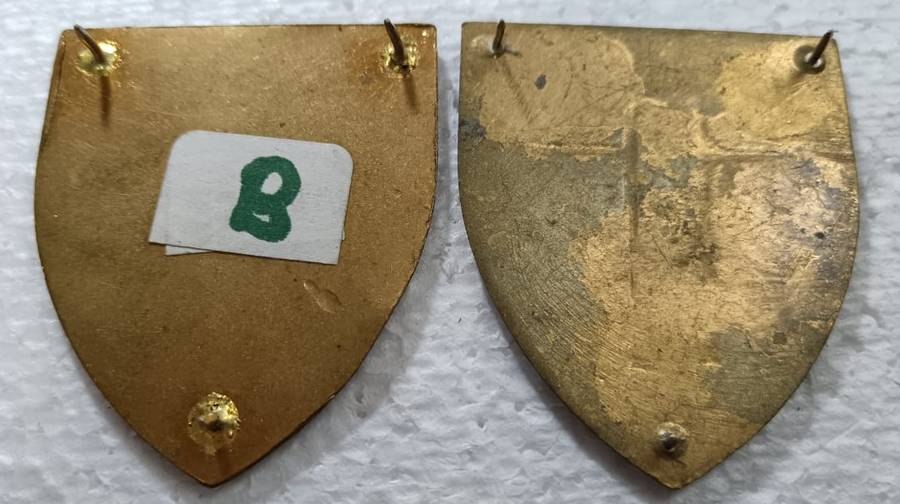(Homelands) Transkei Defence Force Shoulder Flash Pair