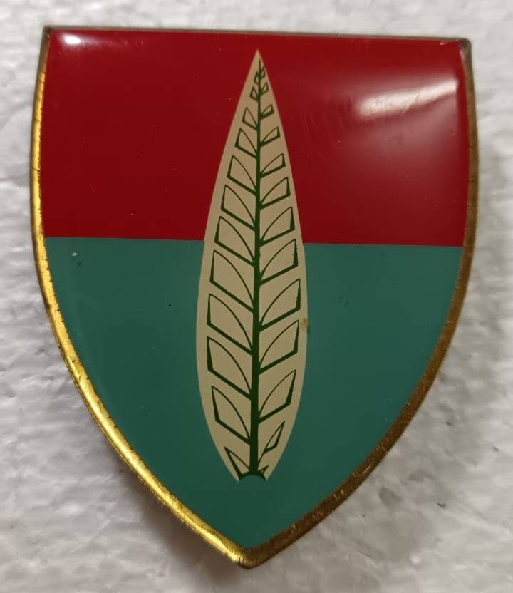 SADF - 10 Artillery Air Defence Shoulder Flash