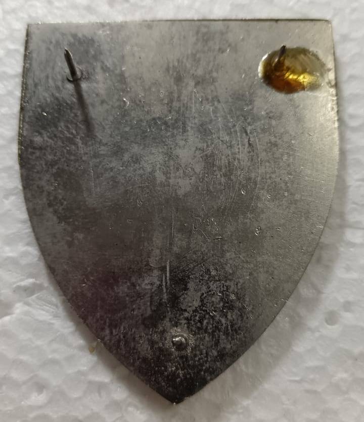 SADF - 1 Special Services Battalion Shoulder Flash