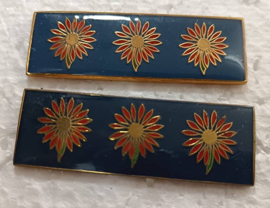 SADF - N/Transvaal Command HQ Higher Formation Bars