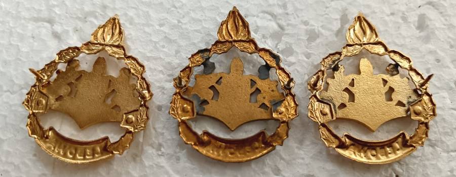 (Homelands) Lebowa Warrant Officer Ranks