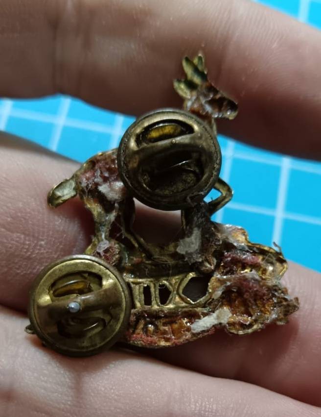 SADF - Pretoria Regiment Cap Badge