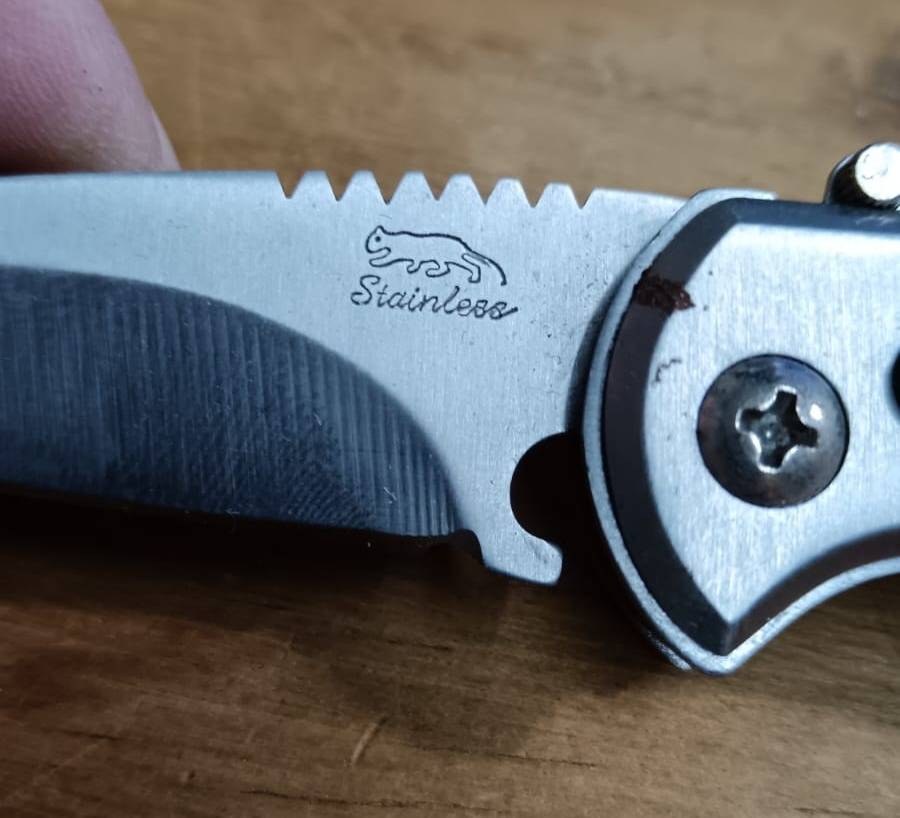 Modern Stainless Steel Folding Knife