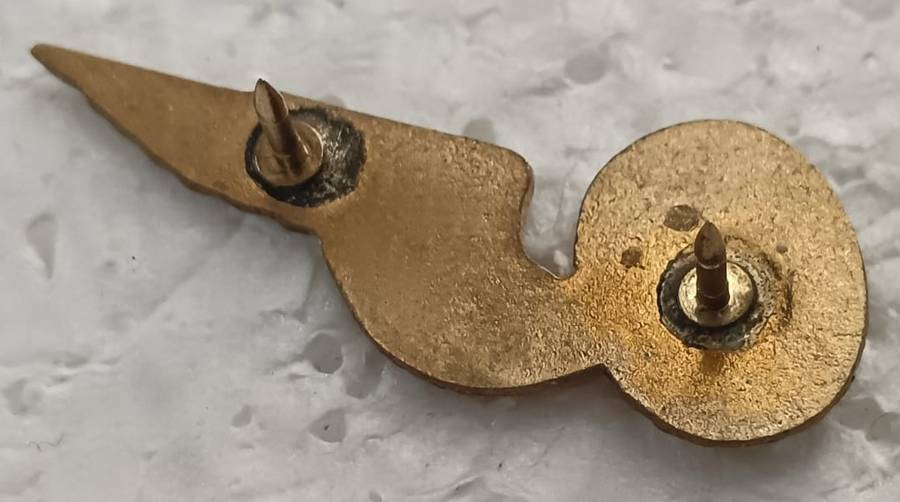 SADF - Air Force Wing