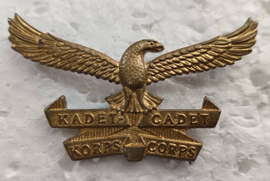 SADF - Air Force Cadets Cap Badge