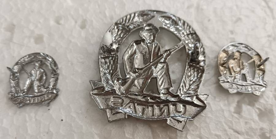 SADF - Commando Cap Badge and Mess Dress Collars