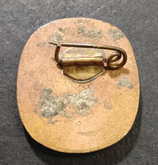 Special Forces Super Soldier - Mike West (SAS and Recce)Joshua Nkomo Political Badge