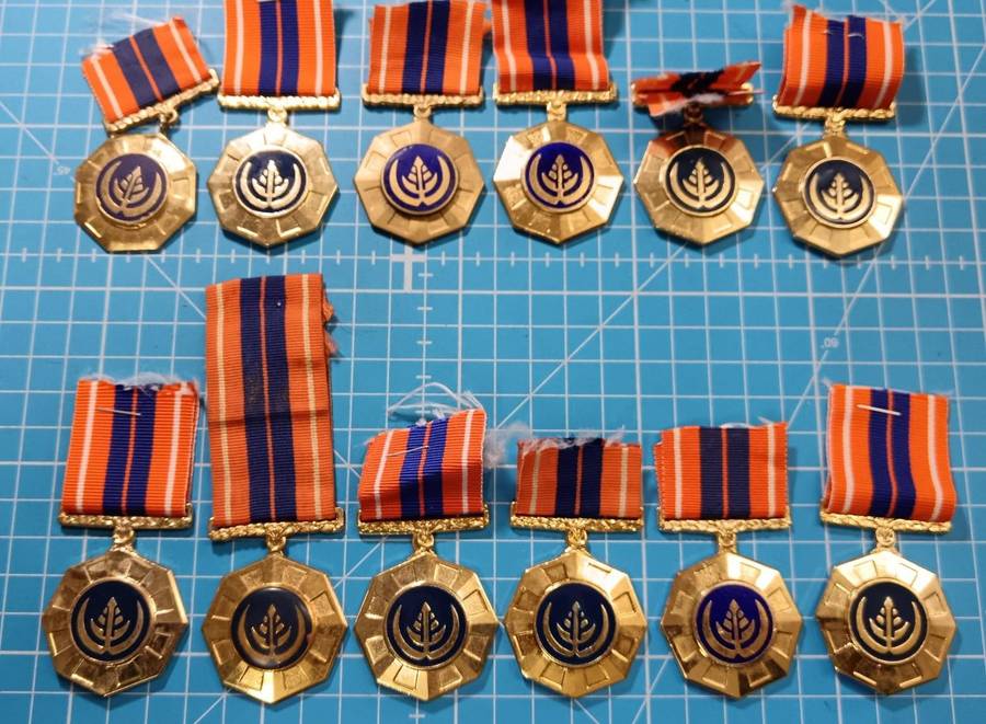 SADF - Full Size Pro Patria Medals - 12 Available