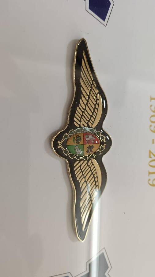 SADF - SAAF Wings Golden Jubilee 1969 to 2019 - Pilots Course 1/68