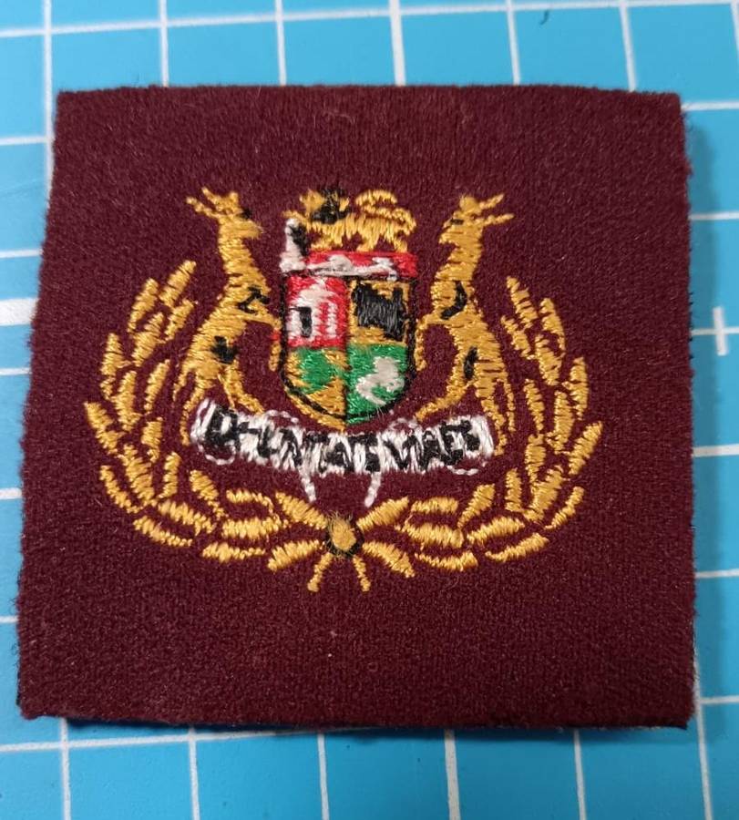 SADF - Medical Services Rank Badge