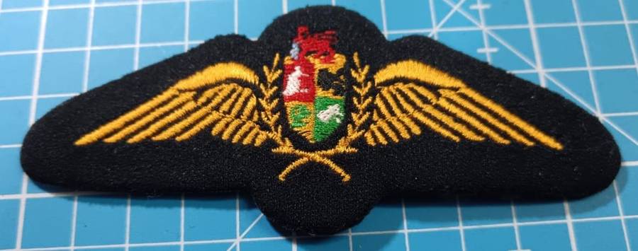 SADF - Air Force Pilots Wing