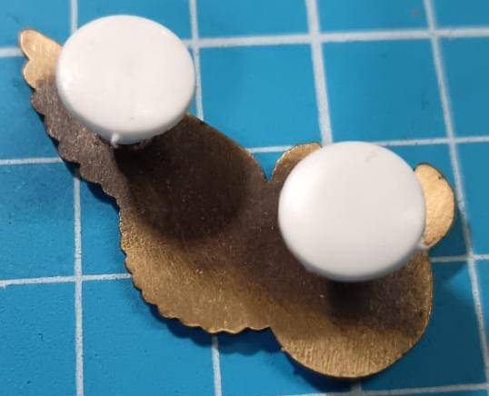 SANDF - Air Force Observer Wing