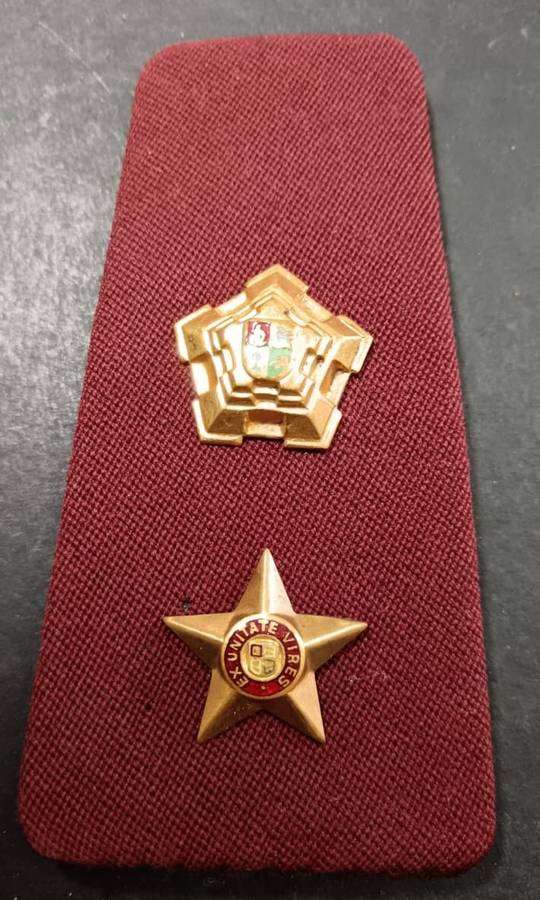 SADF - Medical Services Rank Board