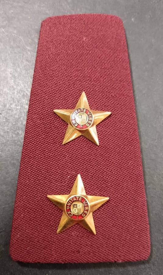SADF - Medical Services Rank Board