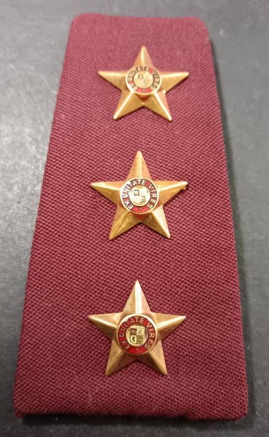 SADF - Medical Services Rank Board