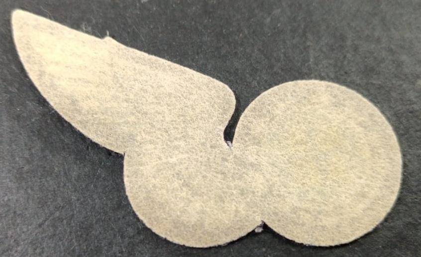 SADF - Airforce Wing