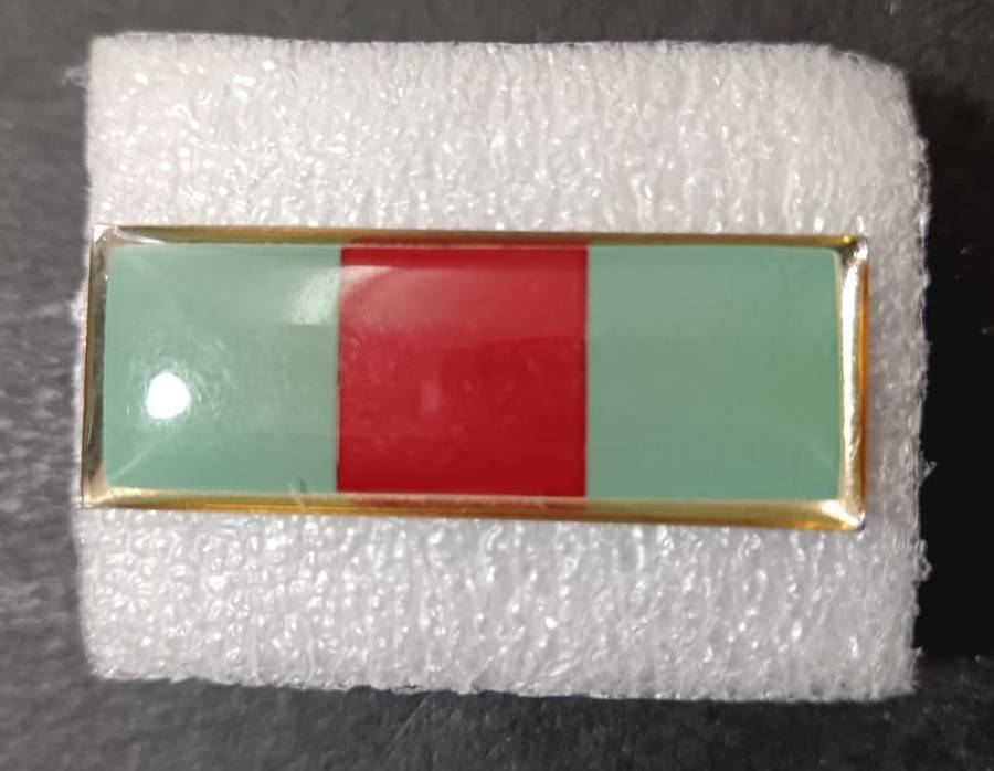 SADF - Anti Aircraft Beret Bar