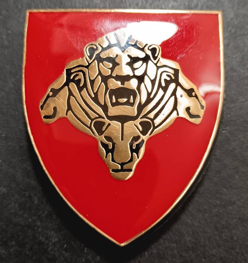 SANDF - Pride of the Nation Shoulder Flash