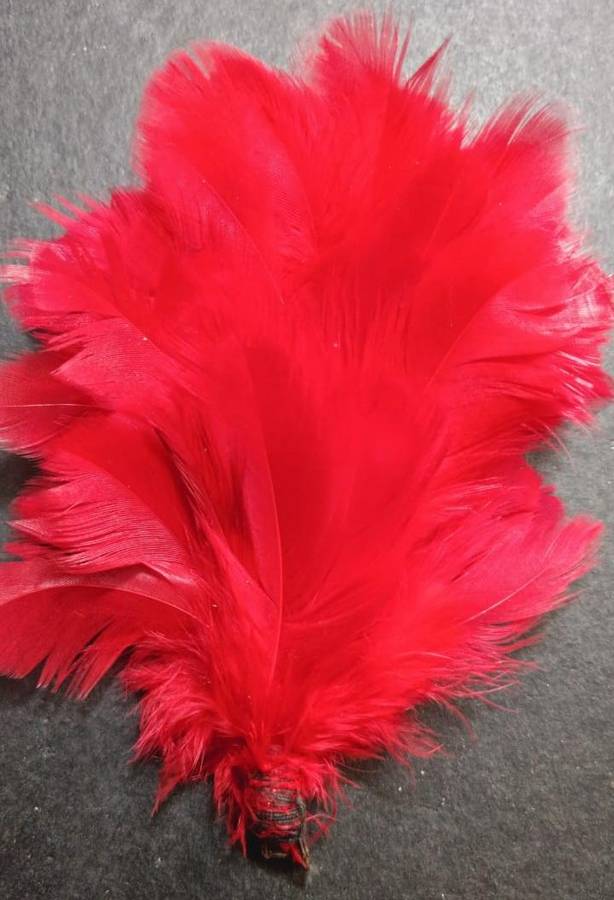 Rhodesian Army/South African Defence Force " Hackle "