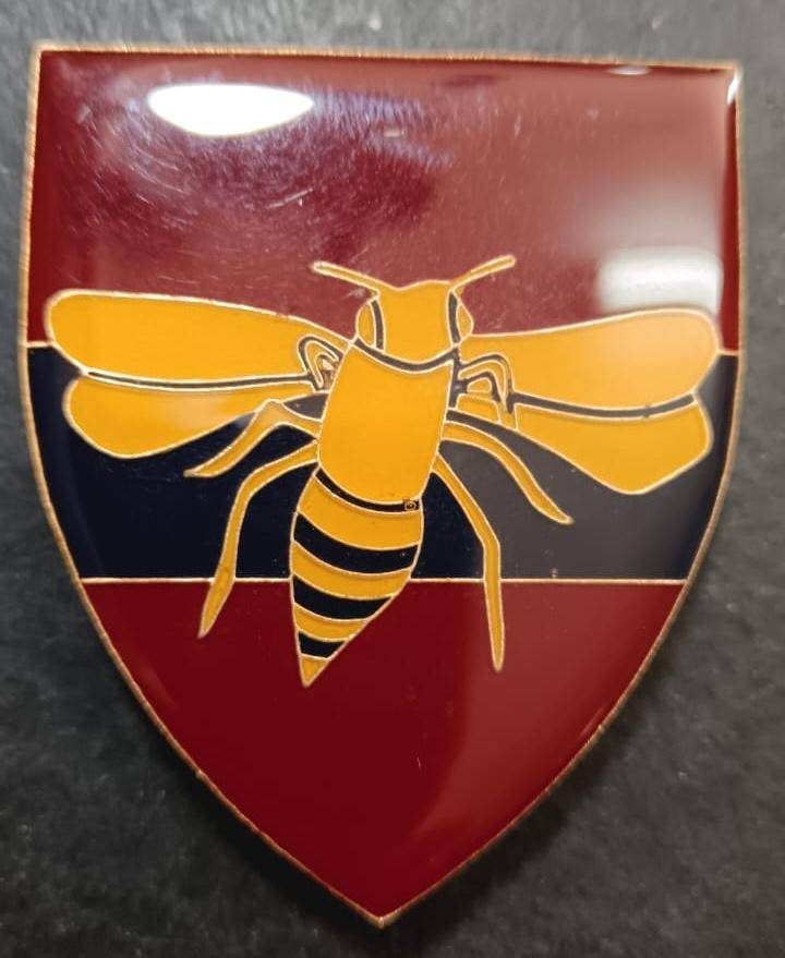 SADF - 35 Engineer Support Regiment Shoulder Flash
