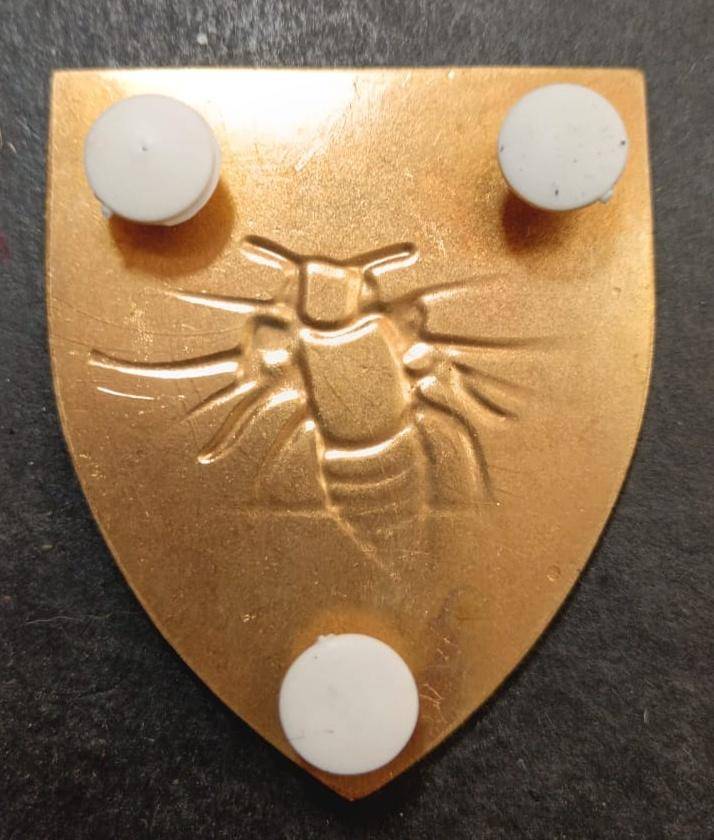 SADF - 35 Engineer Support Regiment Shoulder Flash