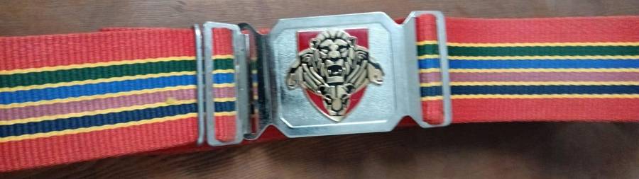 SANDF - Pride of the Nation Stable Belt