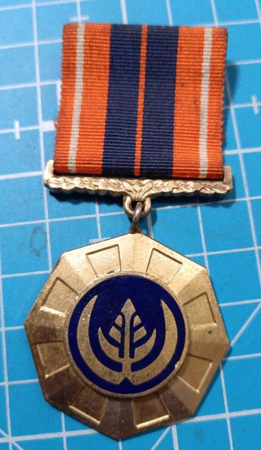 SADF - Full Size Pro Patria Medal ( Swivel - Number 85434 )