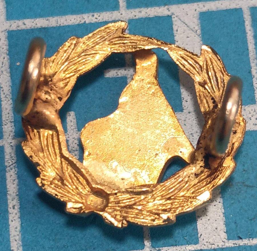 Zimbabwe - Warrant Officer Rank Badge
