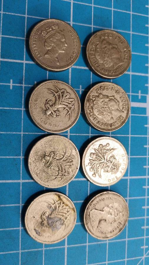 8 x 1 pound coins