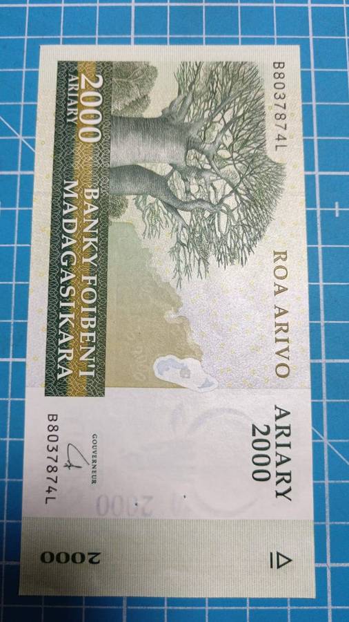 Madagascar 2000 aviary note