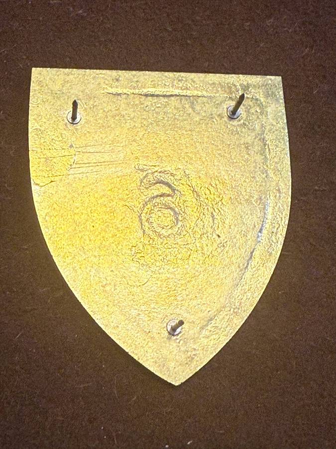 SADF 6 Field  Squadron Shoulder Flash