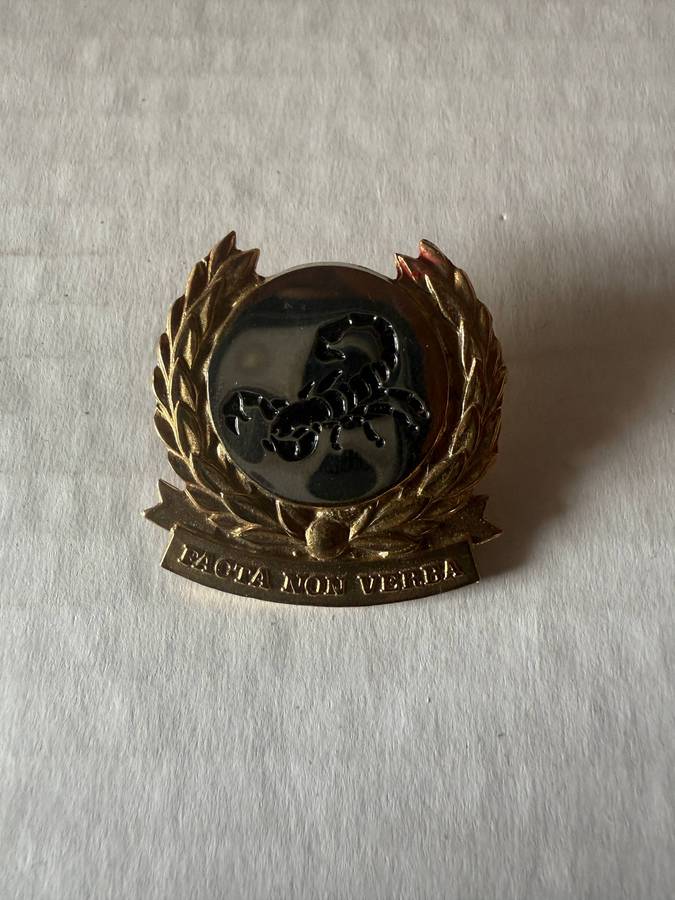 Gatsrand Commando Bi-Metal Beret Badge Scarce item  SADF