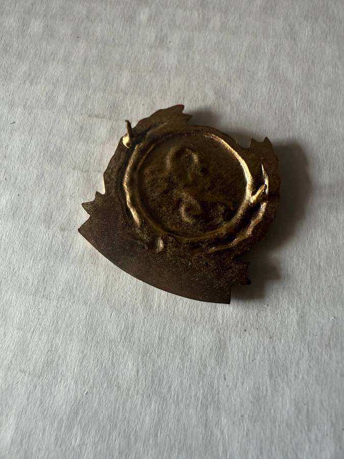 Gatsrand Commando Bi-Metal Beret Badge Scarce item  SADF