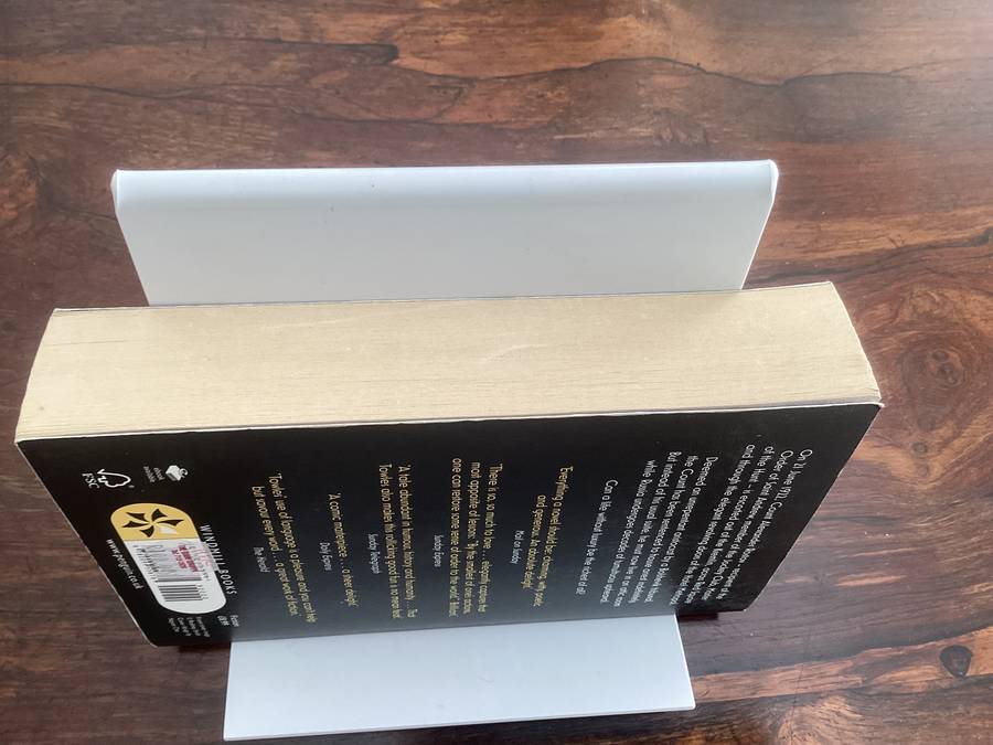 A Gentleman in Moscow, bestseller by Amor Towles. Paperback in excellent condition.