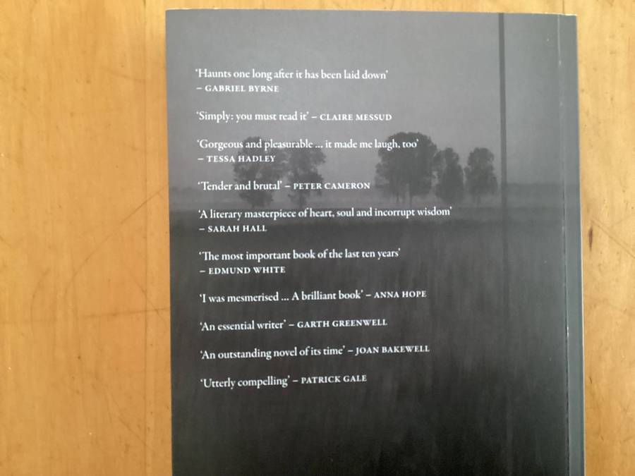 THE PROMISE by DAMON GALGUT. Winner of the 2021 Booker Prize. Excellent condition.