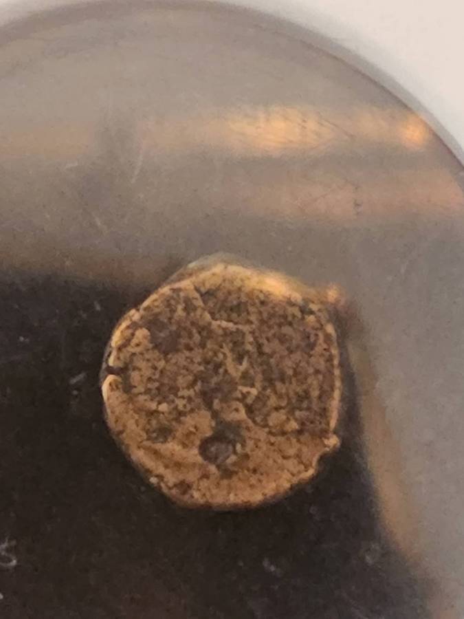 Eastern Roman empire zeno (AD474-491)