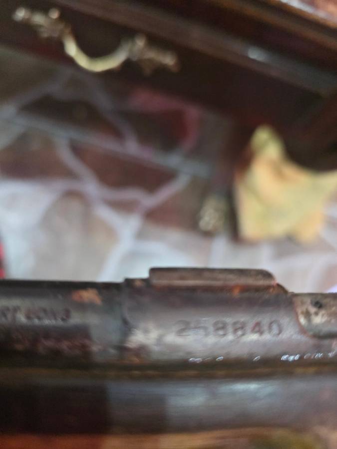 Deactivated Collectable Remington Arms rifle (USA)