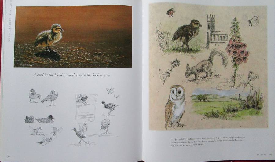 A Voyage Around the World in Paintings the Art of Julie Askew