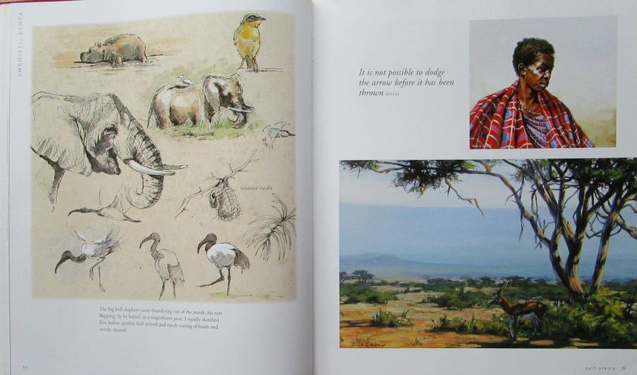 A Voyage Around the World in Paintings the Art of Julie Askew