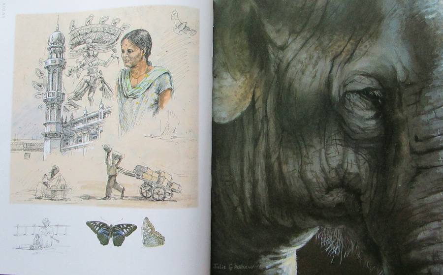 A Voyage Around the World in Paintings the Art of Julie Askew