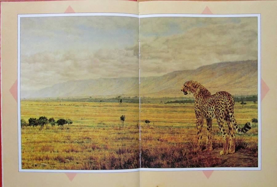 The Illustrated Out of Africa
