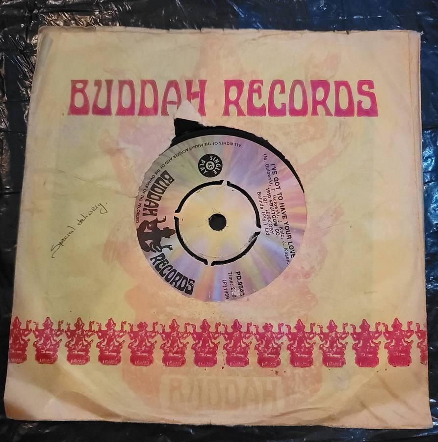 1910 FRUITGUM CO - SPECIAL DELIVERY / I'VE GOT TO HAVE YOUR LOVE