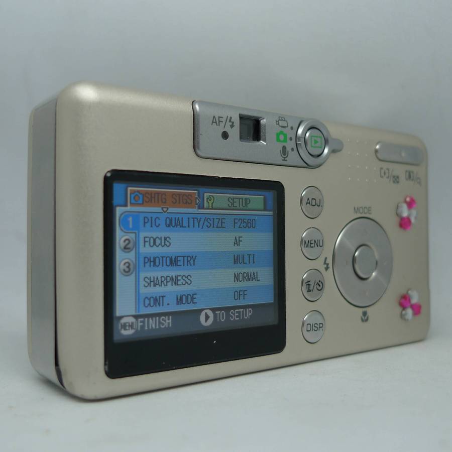 Ricoh Caplio R1v - 5.0 Megapixels - 4.8x Optical Zoom