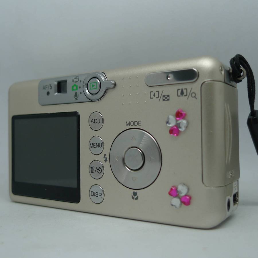 Ricoh Caplio R1v - 5.0 Megapixels - 4.8x Optical Zoom